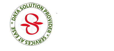 Data Solution Provider logo